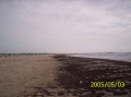 mui02sln-050503.JPG